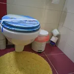 Korona 브라쇼브