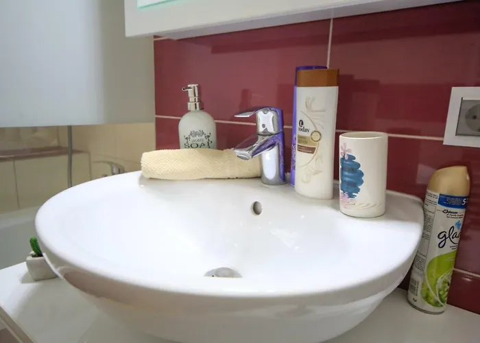 公寓 Korona 布拉索夫